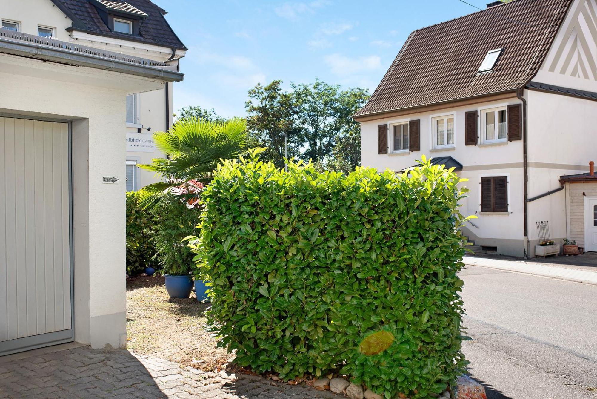 Bluehome Ferienwohnung Bad Bellingen Esterno foto